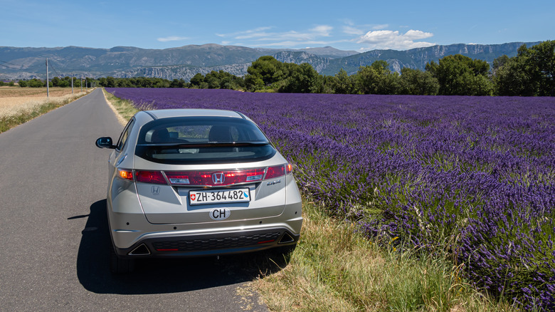 Silver Honda Civic beside field