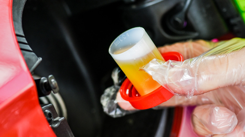 Person pouring diesel fuel additive