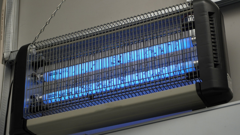 Electric insect killer lamp with blue UV light hanging on a wall