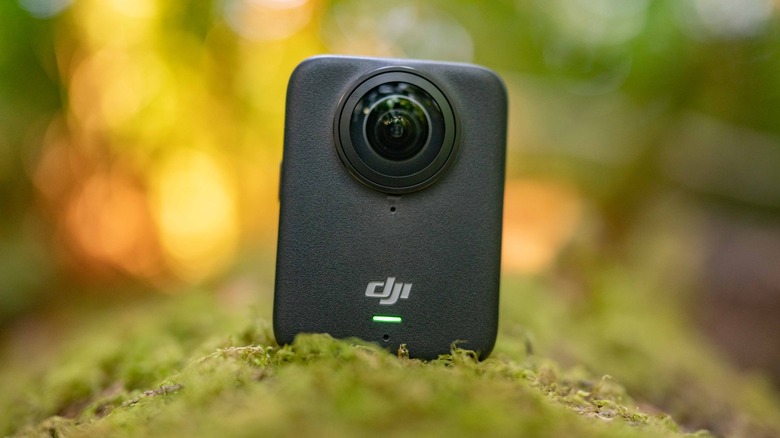 The DJI Osmo 360 on a mossy log with a blurred out background.