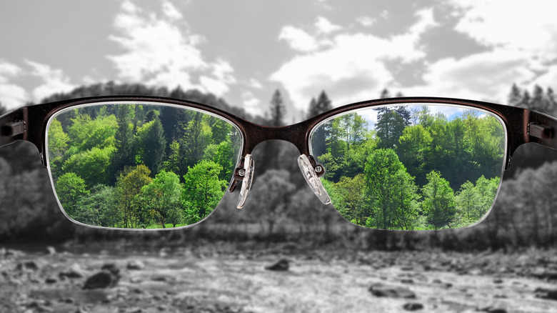 Colorful view of river and forest focused in women's glasses and monochrome background.