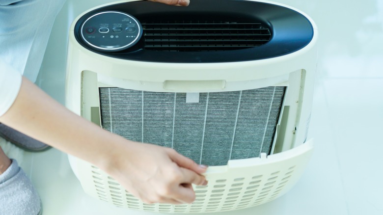 Person changing a dirty HEPA filter in an air purifier