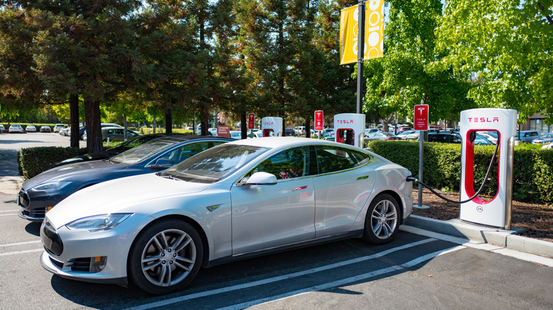 Tesla cars in parking spaces.