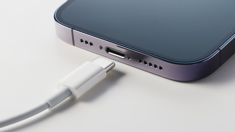 iPhone charge cable