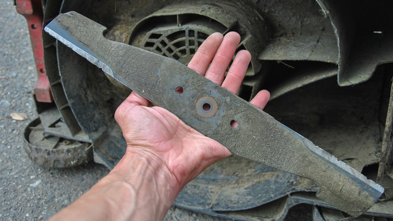 A person holding a used lawn mower blade.