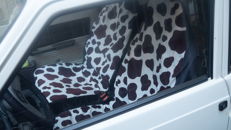 Interior of a car with white and brown cow print seat covers.