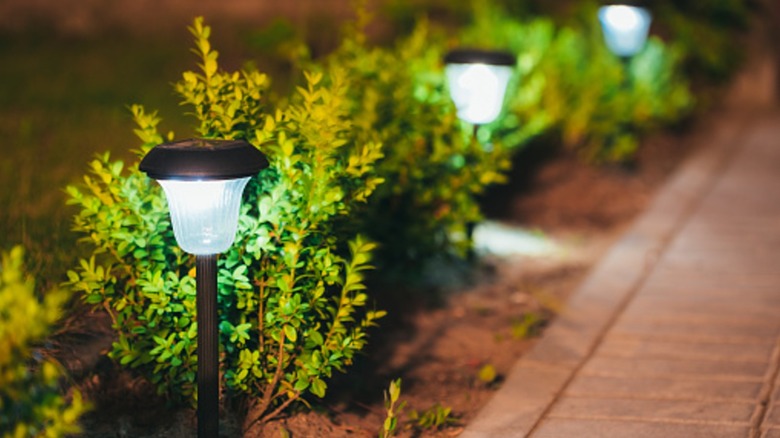 Solar-powered garden lights