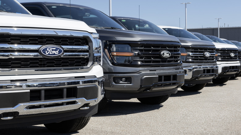 A row of Ford F-150 models