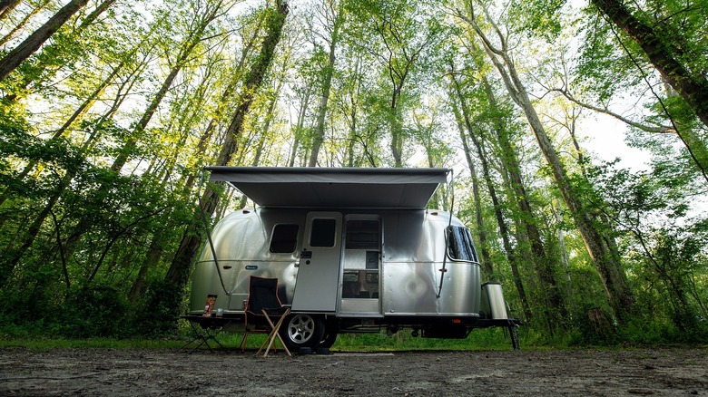 Airstream Bambi in the woods with an awning