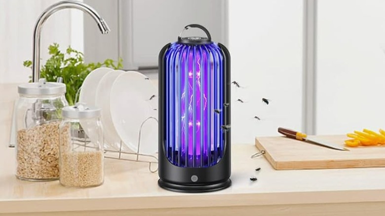 A bug zapper on a countertop.