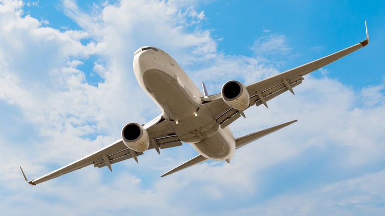 Passenger airplane in flight