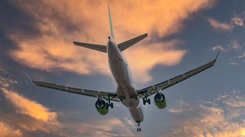 Airplane in sky at sunset