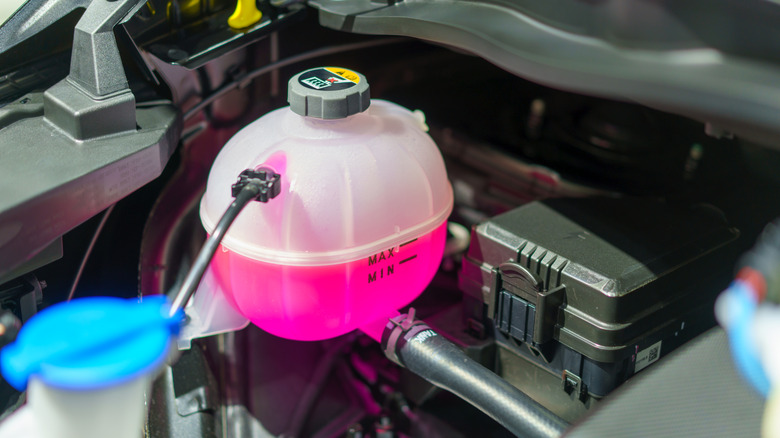 A coolant tank under the hood of a car, with just the right amount of pink coolant