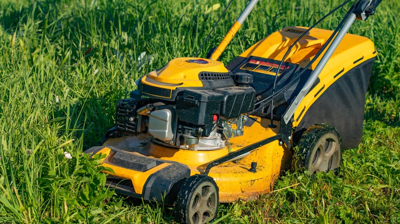 Yellow lawn mower cutting grass on a field.