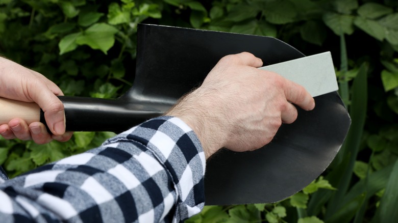 A man sharpening a shovel with an abrasive stone.