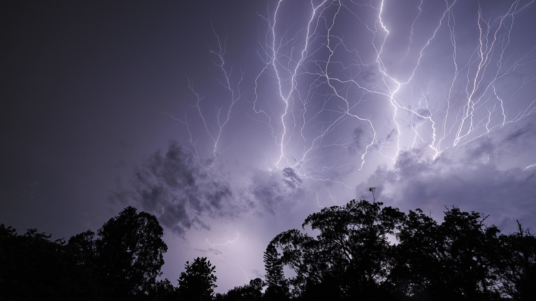 Lightning striking above trees.
