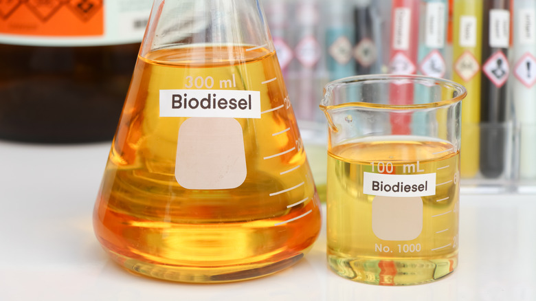 A shot of biodiesel in a laboratory setting