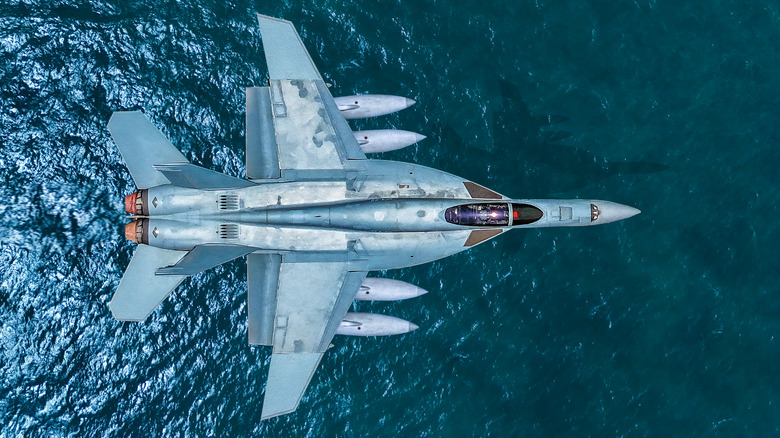 Aerial view/Fighter aircraft used for national defense
