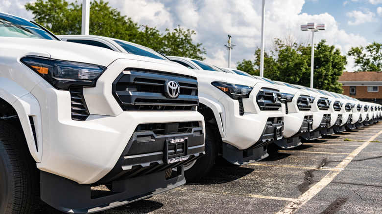 Toyota Tacoma pickups lined up on dealer lot