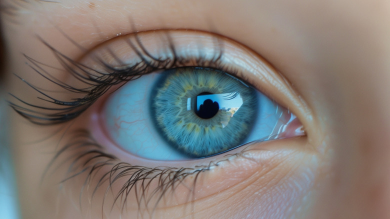 A close-up of a human eye.