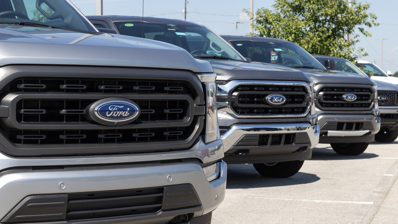 lineup of ford f-150 trucks in lot