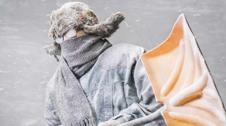 Person shoveling snow in a winter storm