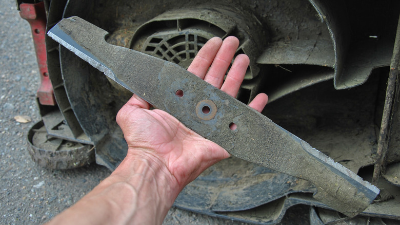 A person holding a lawn mower blade beside a lawn mower