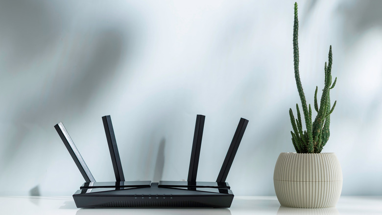 A Wi-Fi router next to a cactus plant.