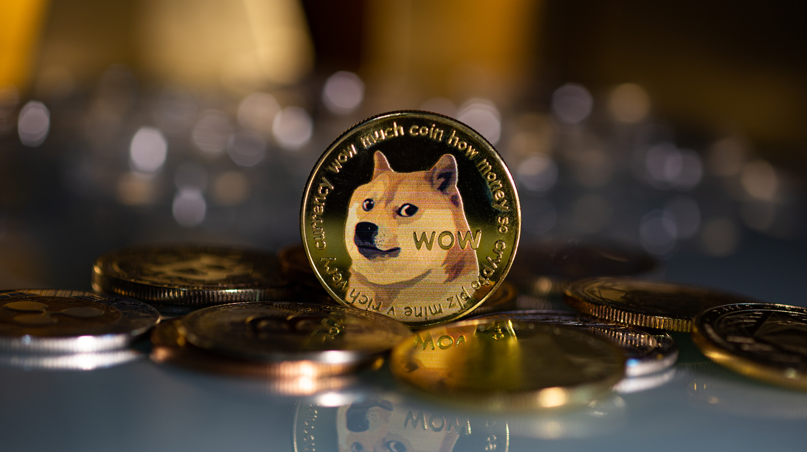 Dogecoin Value Is Climbing Again Now That Elon Musk Owns Twitter