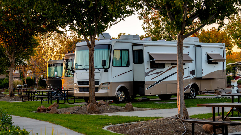 RV in RV Park