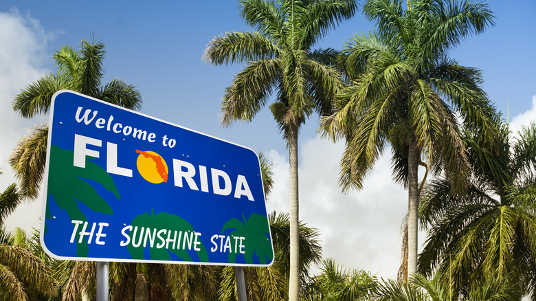 A blue "Welcome to Florida" traffic sign with blue skies, palm trees, and clouds in the background.