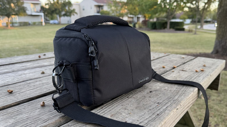 Dwarf 3 carrying case on a table