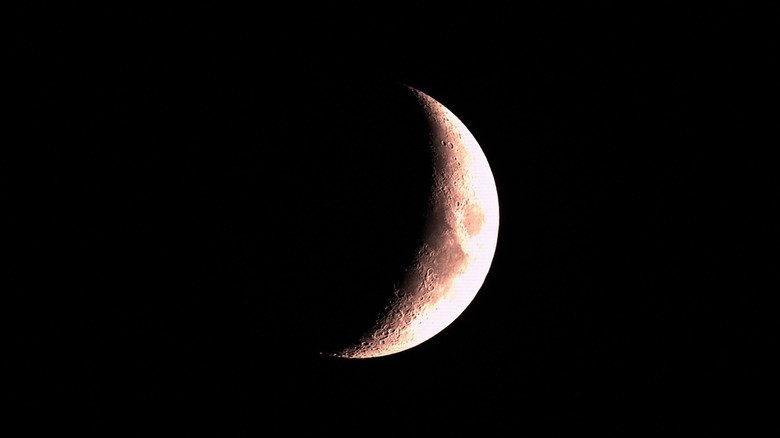 Photo of the moon
