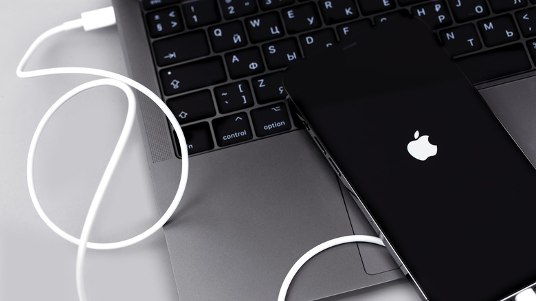 iPhone connected to computer