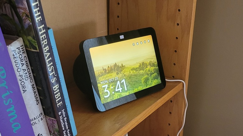 Echo Show 8 picture display