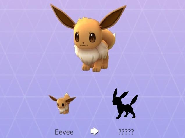 Pokemon GO Releases 16 Eevee And Evolutions With Flowers And Shiny Types -  SlashGear