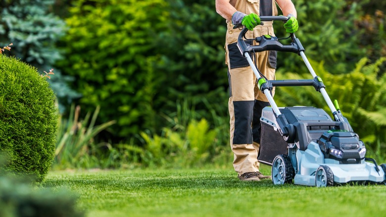 Electric lawn mower in yard