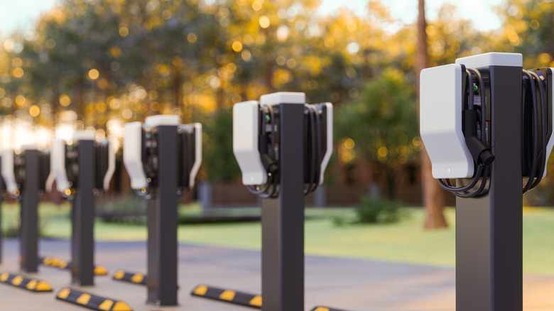 row of ev chargers
