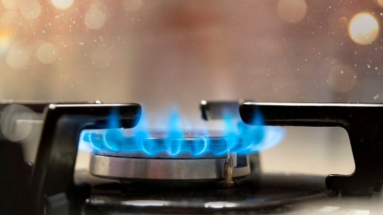 Gas cooker with burning flames of propane gas
