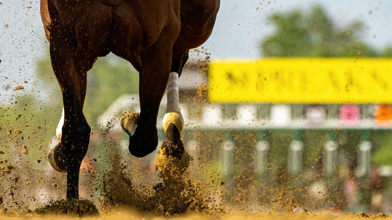 Close up of a horse's legs with the horse thundering along a race track