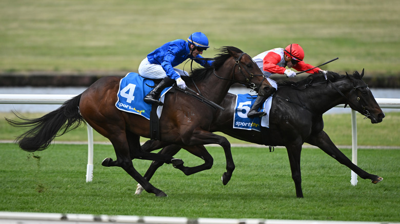 Two horses with jockeys sprinting for the finish line