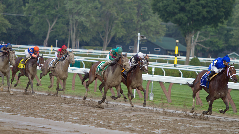 Horses racing on a muddy track