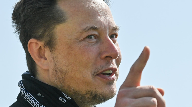 Tesla Elon Musk pointing up