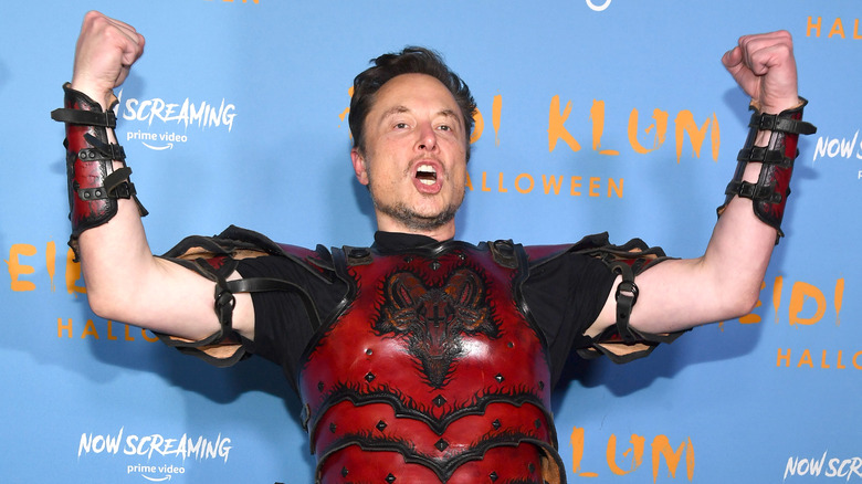 Elon Musk posing in costume