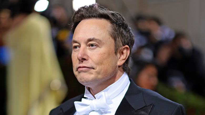 Elon Musk posing for the camera