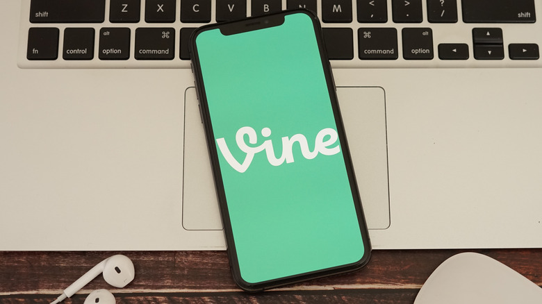 Vine app's splash screen on a phone