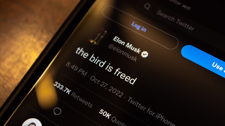 Elon Musk freed bird tweet