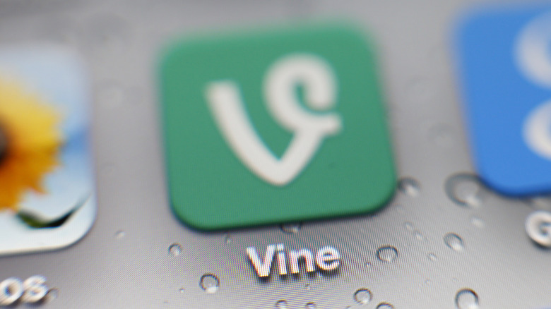 Vine logo on a smartphone.