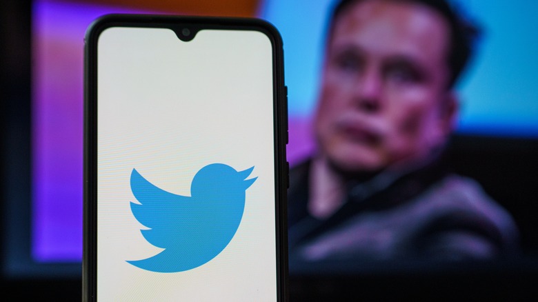 elon musk with Twitter logo
