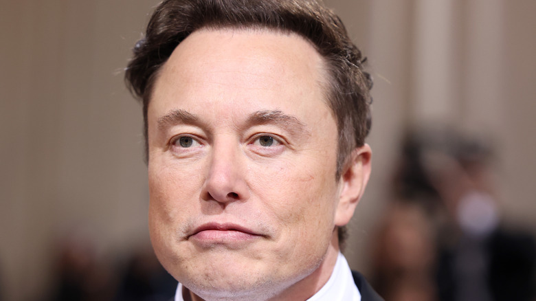 Elon Musk posing at event